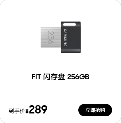 FIT 闪存盘 256GB