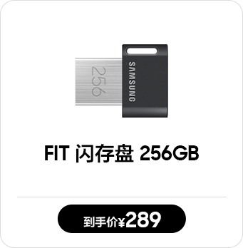 FIT 闪存盘 256GB